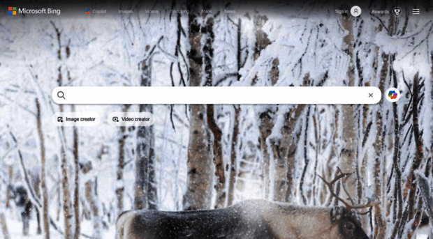 bing.com